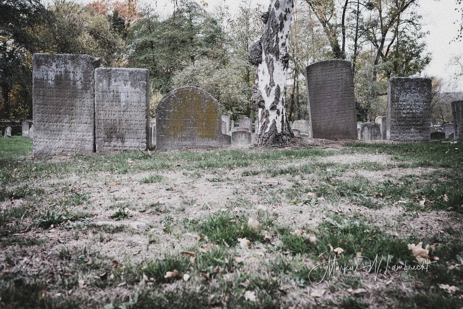 Witzenhausen, Jüdischer Friedhof